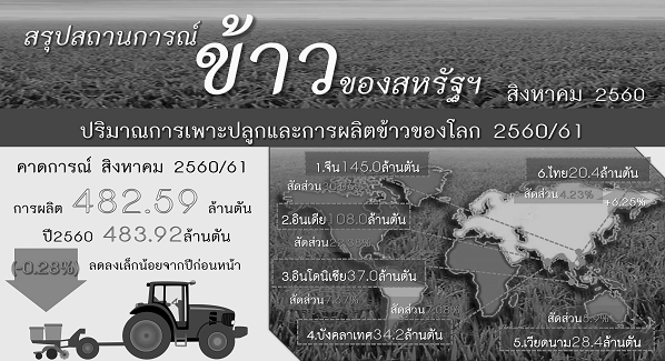 รายงานสรุปสถานการณ์ข้าวของสหรัฐอเมริกา (Infographic, PDF)