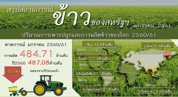 รายงานสรุปสถานการณ์ข้าวของสหรัฐอเมริกา (Infographic, PDF)