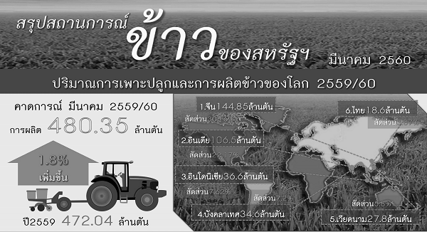 รายงานสรุปสถานการณ์ข้าวของสหรัฐอเมริกา (Infographic, PDF)