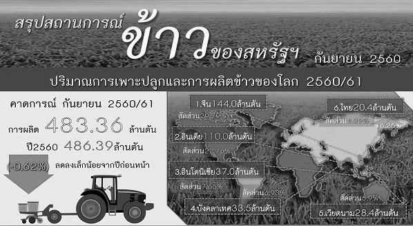 รายงานสรุปสถานการณ์ข้าวของสหรัฐอเมริกา (Infographic, PDF)